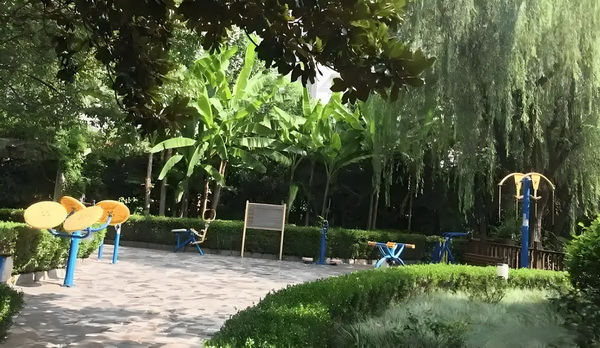 深圳2025年落户新政策_比不过刘亦菲杨幂，赵丽颖在电影圈处处尴尬 赵呆着太舒就怕服坑里